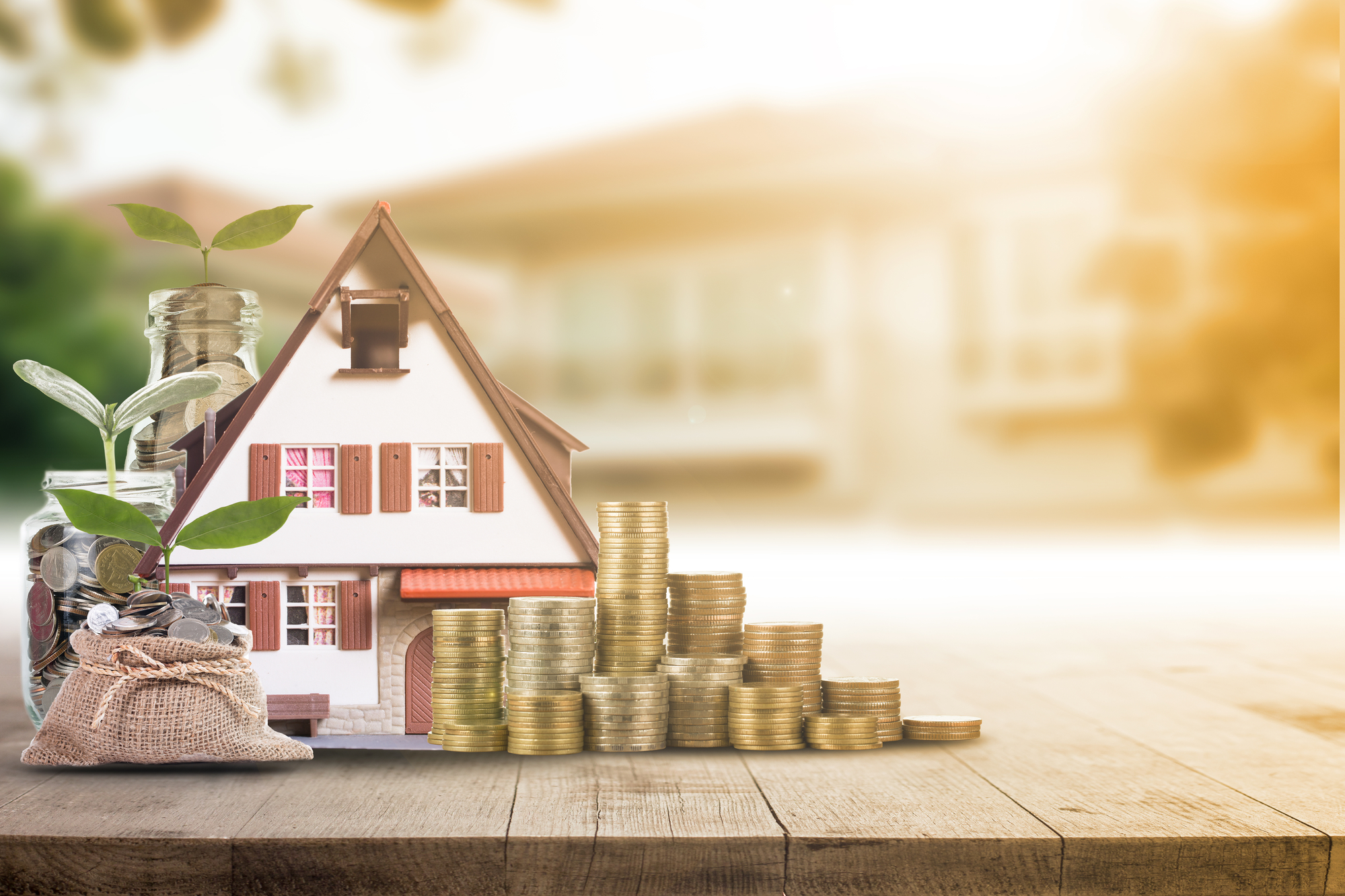 Short-Term Investor Loans